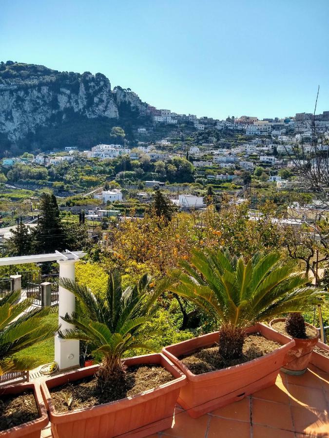 Casa Paolina - Casa Vacanze Κάπρι Εξωτερικό φωτογραφία